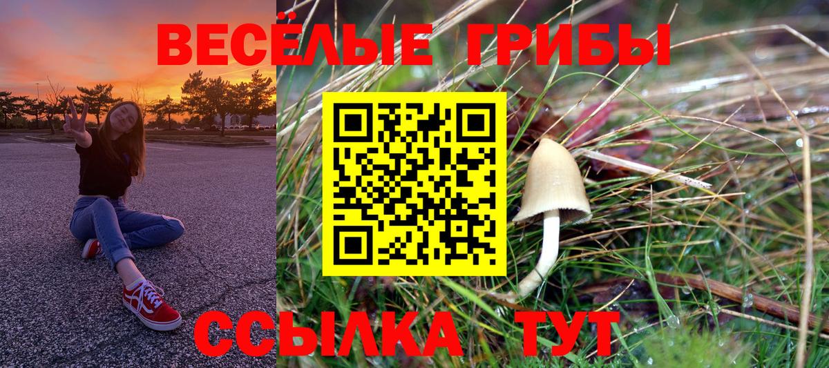 Надым  Псилоцибиновые грибы мицелий  Вход с VPN 